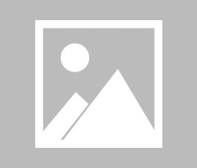 爱游戏官网-外交部回应普京希望中国调停冲突